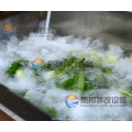 Wasc-10 Vegetable Washing Machine, Vegetable Cleaning Machine